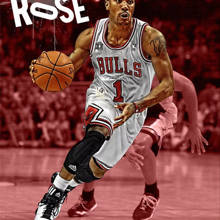 Derrick Rose - Classic - Paint by Numbers