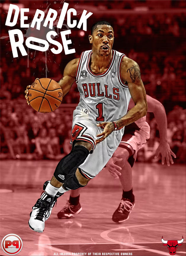 Derrick Rose - Classic - Paint by Numbers