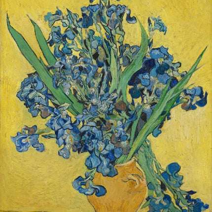 Les Iris - Vincent Van Gogh - Paint by Numbers