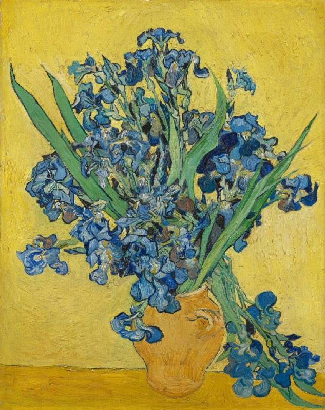 Les Iris - Vincent Van Gogh - Paint by Numbers