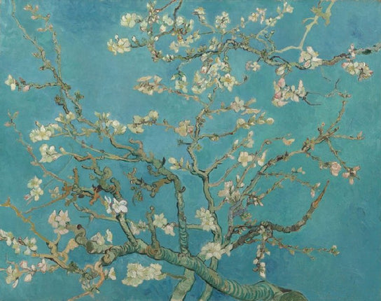 Almond Blossom - Vincent Van Gogh - Paint by Numbers